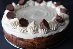 PB-Mousse-Truffle-Cheesecake-1020